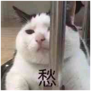 现场隔着保鲜膜摩擦
